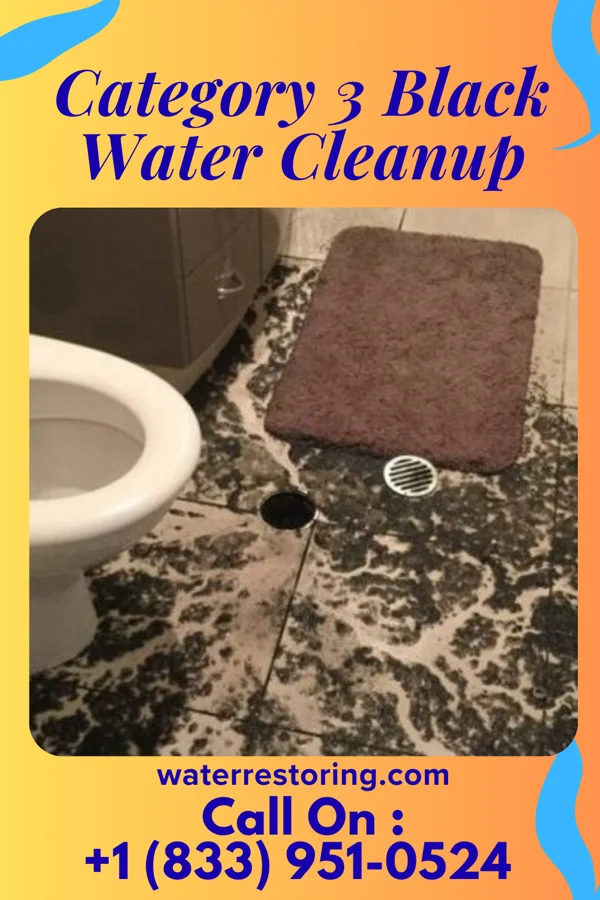 Category 3 Black Water Cleanup in Rutland, IL